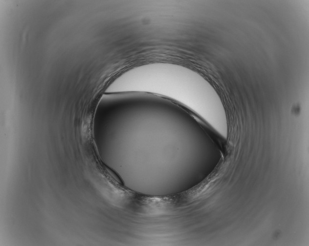 X0000089890239200707262236