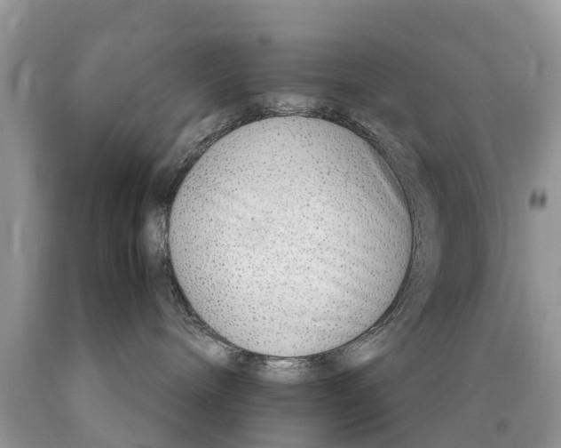 X0000089890240200707262236