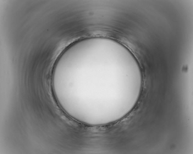 X0000089890241200707262236