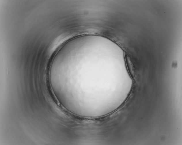 X0000089890242200707262236