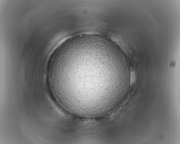 X0000089890243200707262236