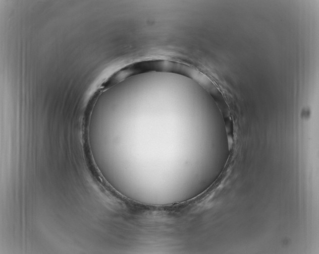 X0000089890244200707262236