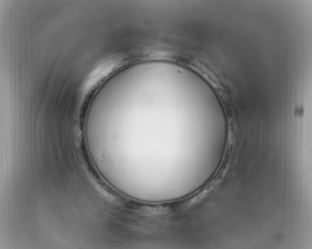 X0000089890245200707262236