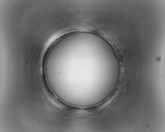 X0000089890246200707262236