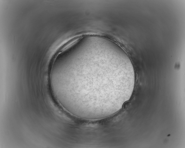 X0000089890247200707262236