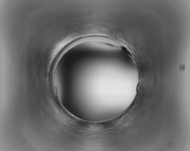 X0000089890248200707262236