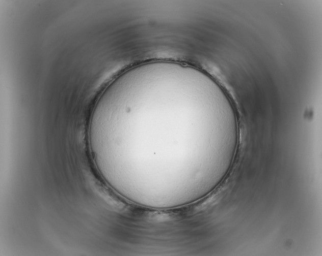 X0000089890249200707262236