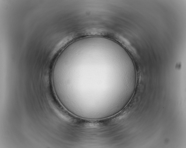 X0000089890250200707262236