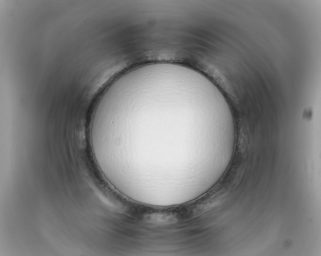X0000089890251200707262236