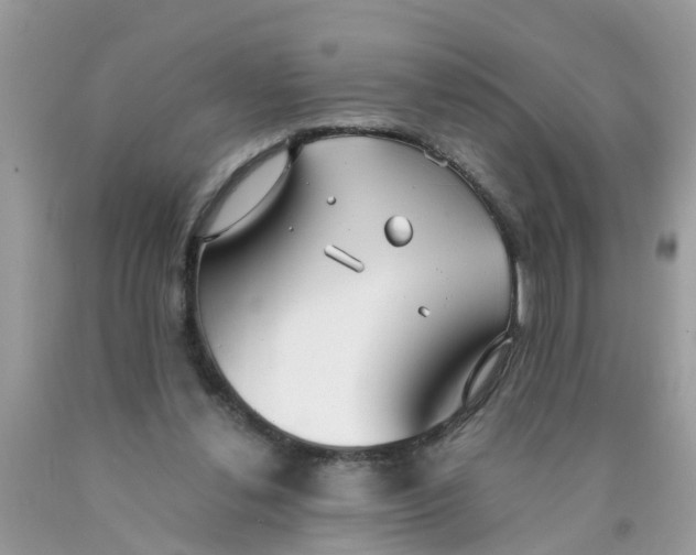 X0000089890252200707262236