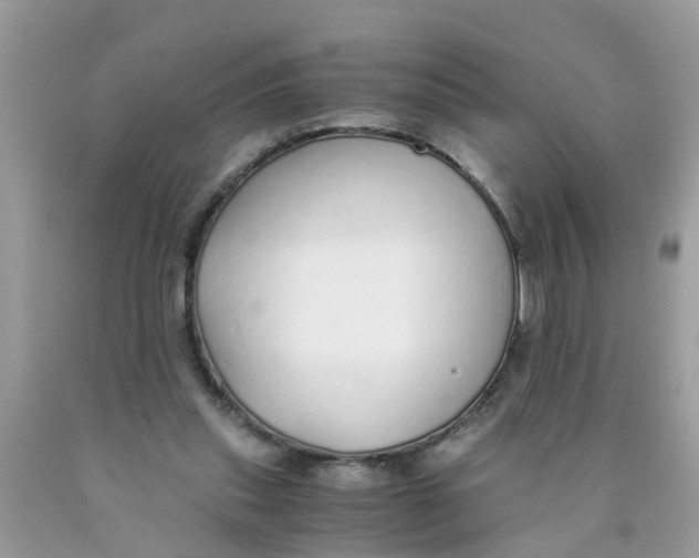 X0000089890253200707262236