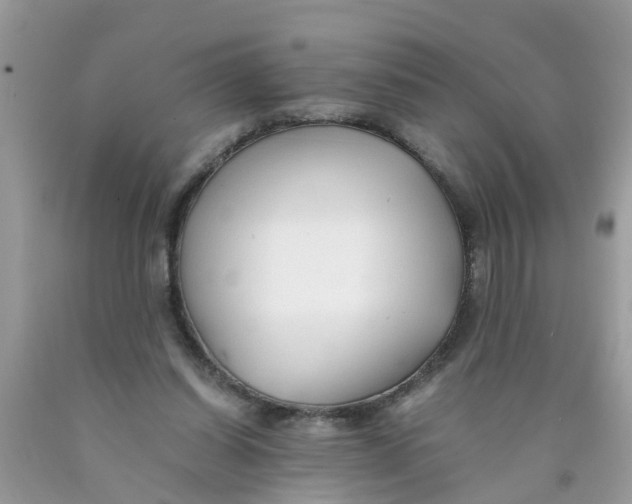 X0000089890254200707262236