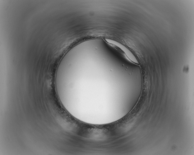 X0000089890255200707262236