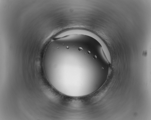 X0000089890256200707262236