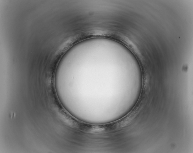 X0000089890257200707262236
