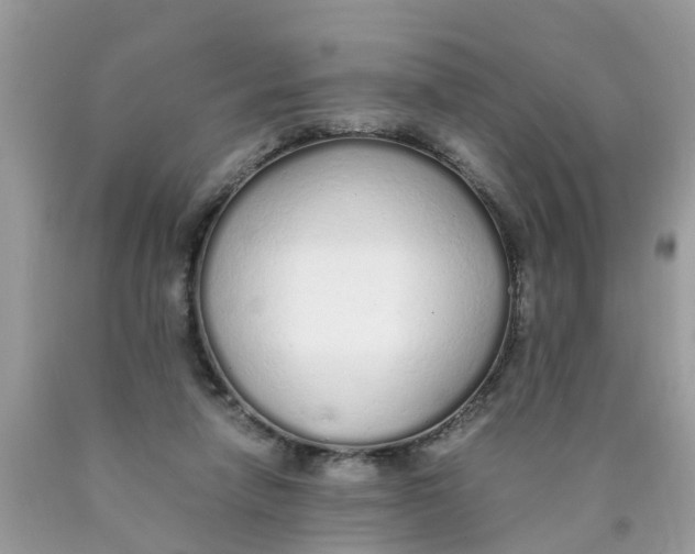 X0000089890258200707262236
