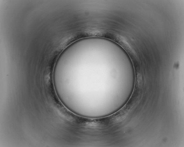 X0000089890259200707262236