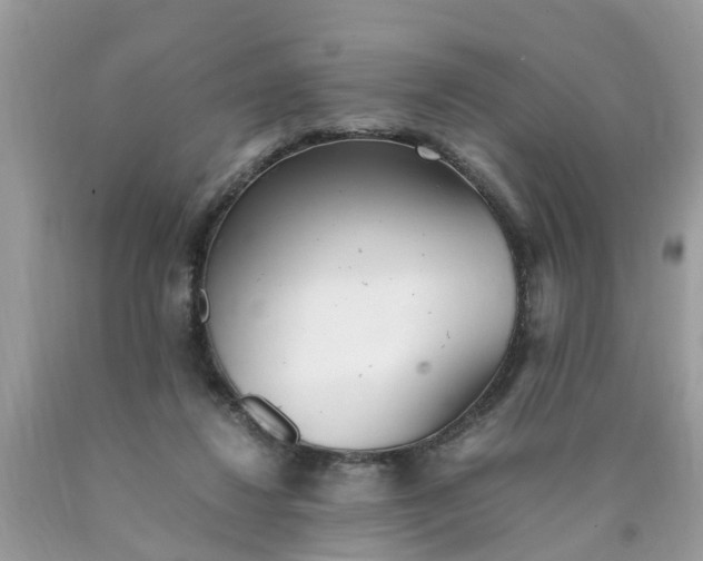 X0000089890260200707262236
