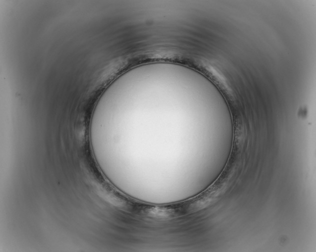 X0000089890261200707262236