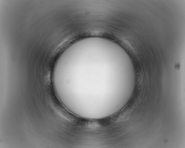X0000089890262200707262236