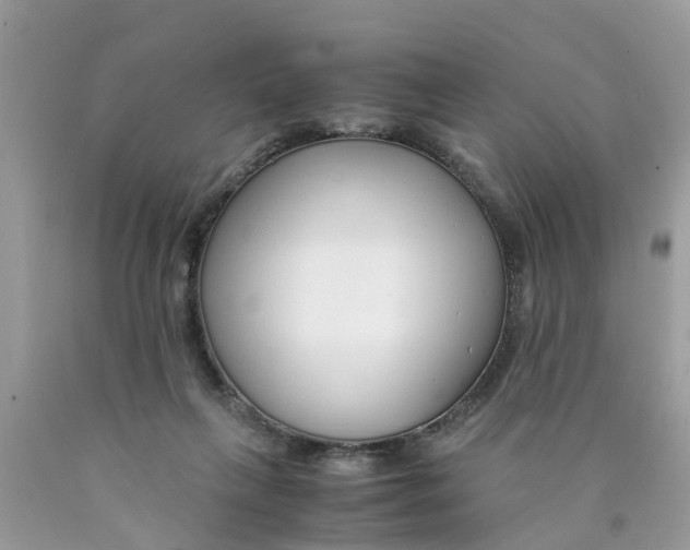 X0000089890263200707262236