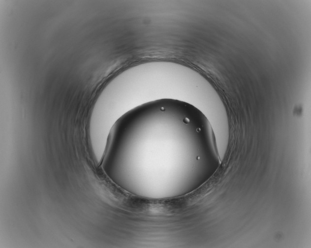 X0000089890264200707262236