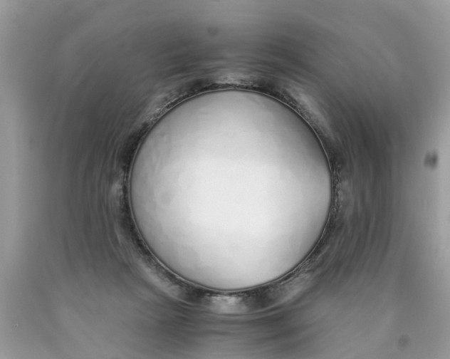 X0000089890265200707262236