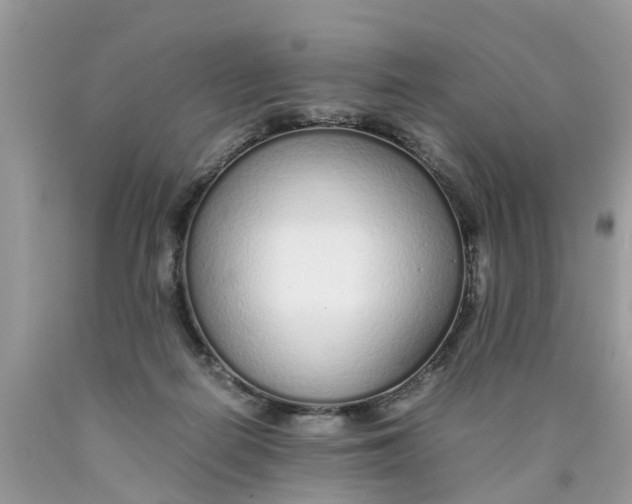 X0000089890266200707262236