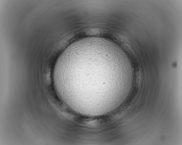X0000089890267200707262236