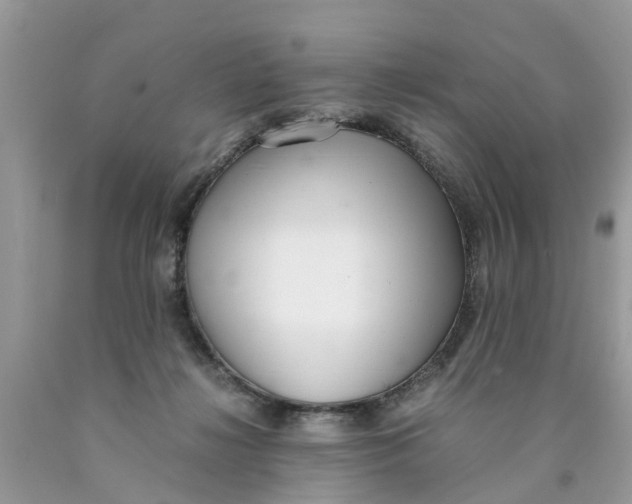 X0000089890268200707262236