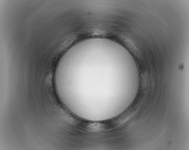 X0000089890269200707262236