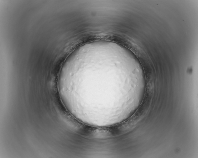 X0000089890270200707262236