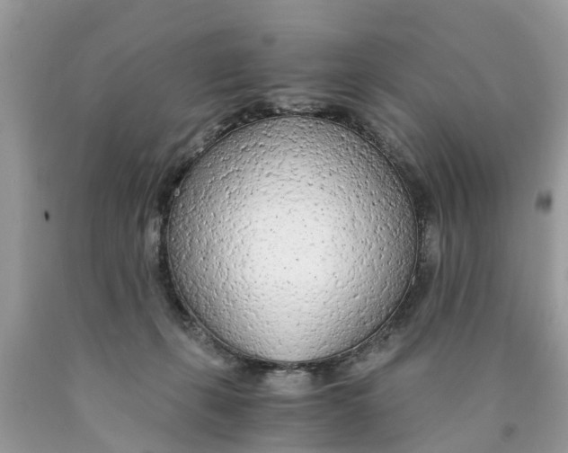 X0000089890271200707262236