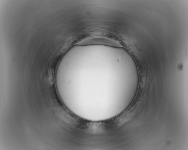 X0000089890273200707262236