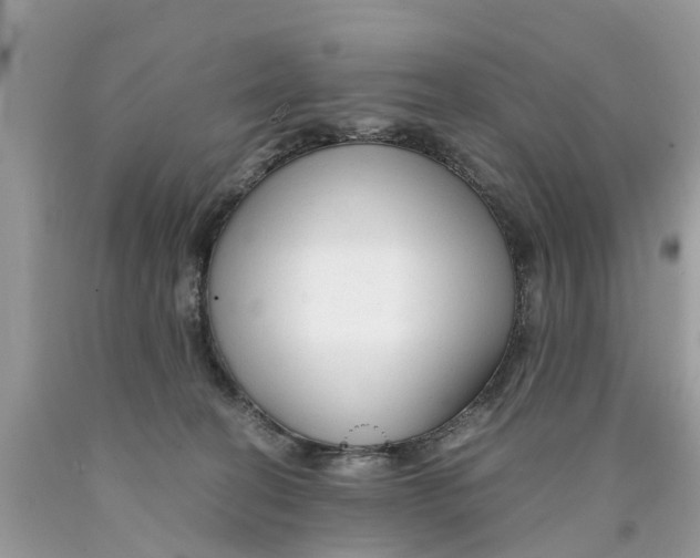 X0000089890274200707262236