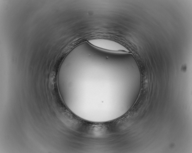 X0000089890275200707262236