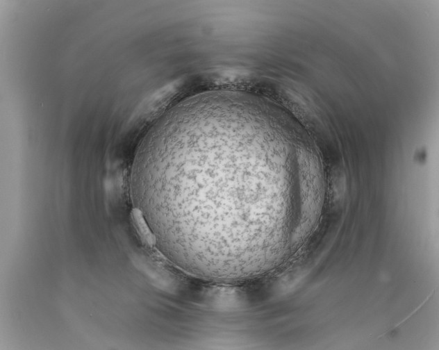 X0000089890276200707262236