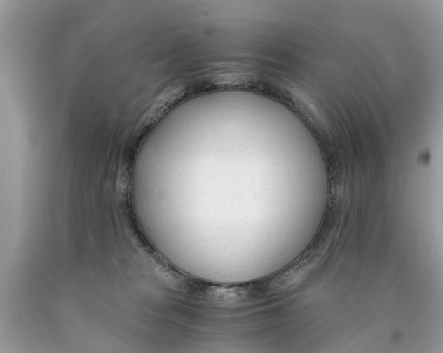 X0000089890277200707262236