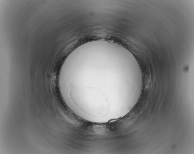 X0000089890279200707262236