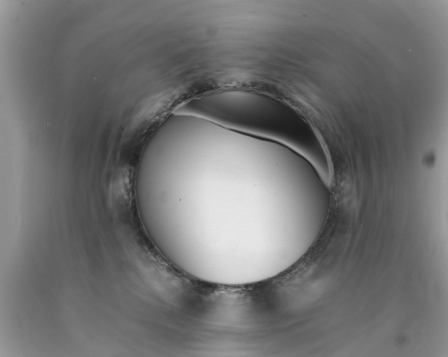 X0000089890280200707262236