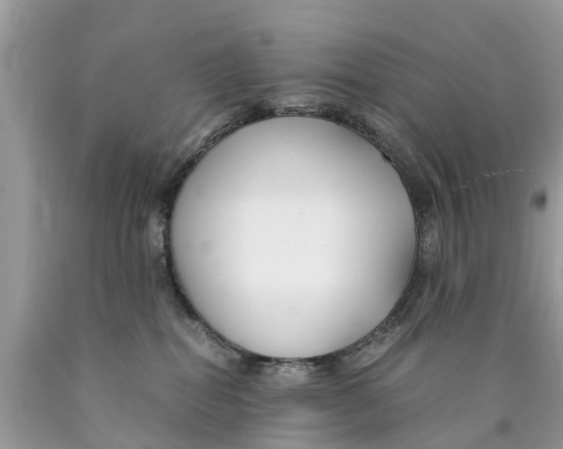 X0000089890282200707262236