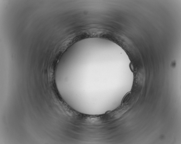 X0000089890283200707262236