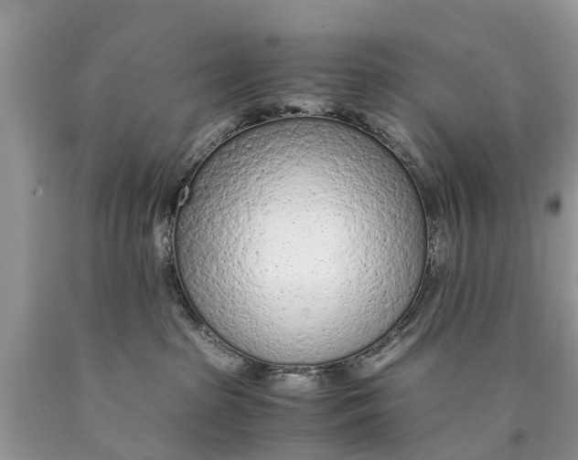 X0000089890285200707262236