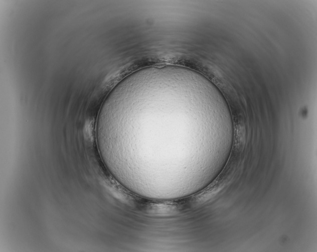 X0000089890286200707262236
