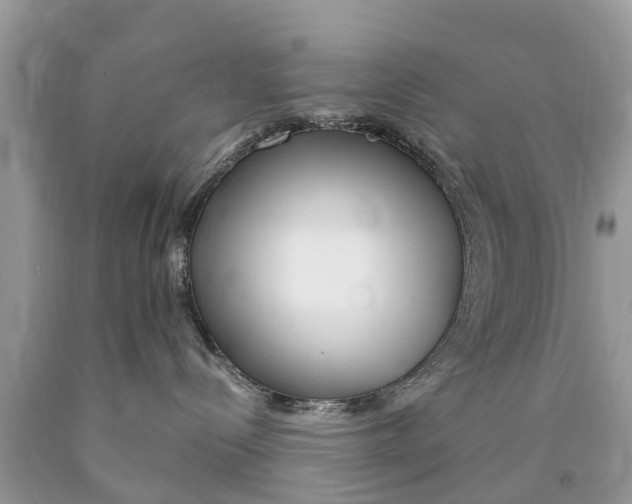 X0000089890288200707262236