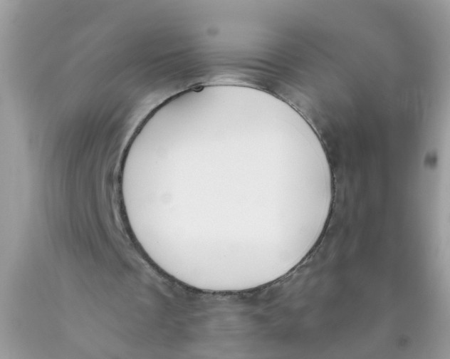 X0000089890289200707262236