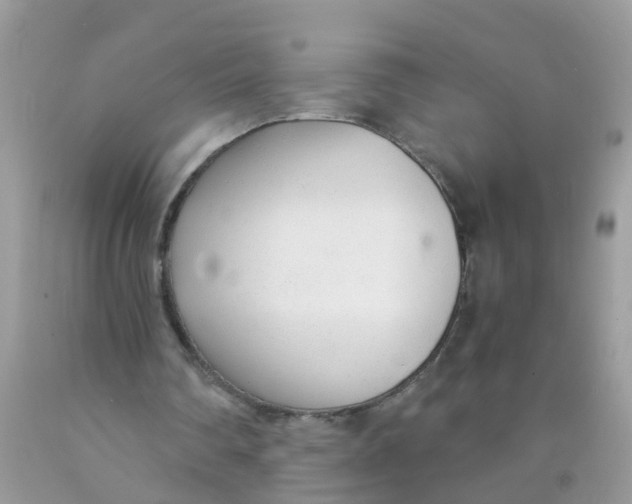 X0000089890290200707262236