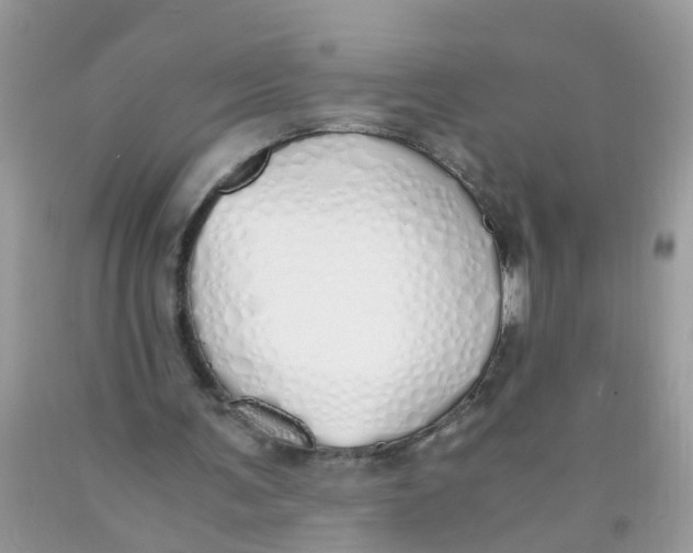 X0000089890291200707262236
