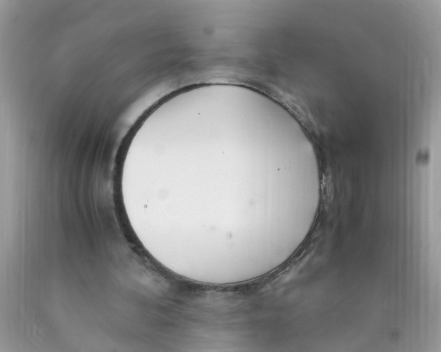 X0000089890292200707262236