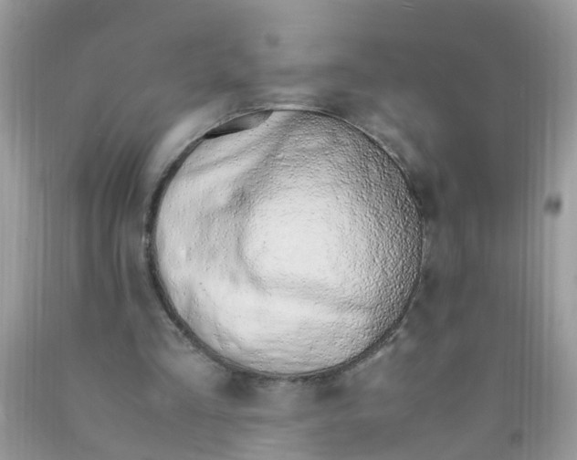 X0000089890293200707262236